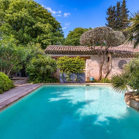 Villa - Oasis Centre Charme Montpellier Zewnętrze zdjęcie