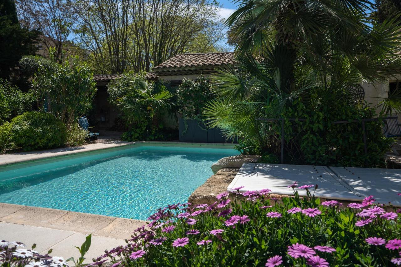 Villa - Oasis Centre Charme Montpellier Zewnętrze zdjęcie